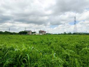 官田社子平坦農地