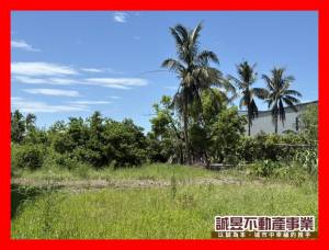 誠昱/近科工都內農地