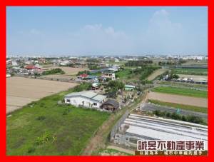 誠昱/七股後港室內植栽.