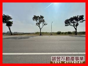 誠昱/湖內臨20米路大面.