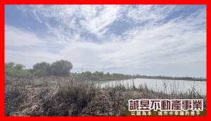 誠昱/安南天馬段持分農地